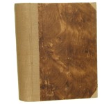 Dziesięć dni które wstrząsnęły światem Reed John [1934]