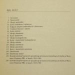 polskie okręty (6).JPG