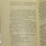 dziesięć lat z louis (5).JPG