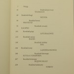 łódź ulissesa (2).JPG