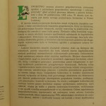 przewodnik informator (2).JPG