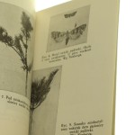 ważniejsze (3).jpg