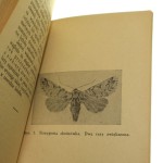 strzygonia (3).jpg
