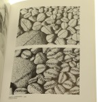 zygmunt rytka (7).jpg