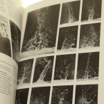 zygmunt rytka (10).jpg