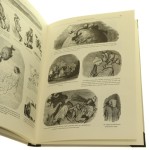 dzieje świętej rusi (6).jpg