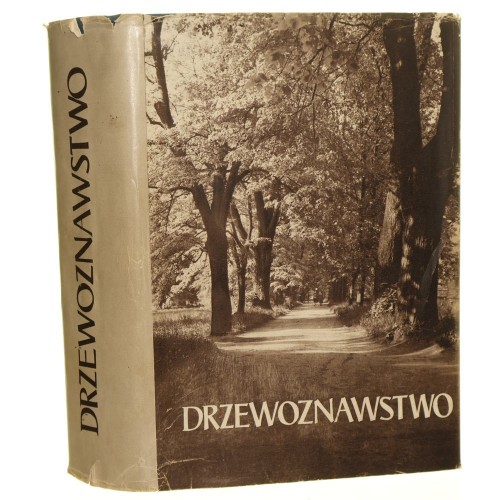 drzewoznawstwo (1).jpg