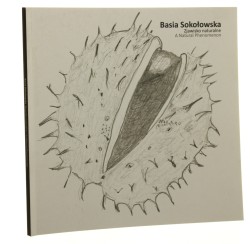Basia Sokołowska Zjawisko naturalne Galeria Wozownia (2010)