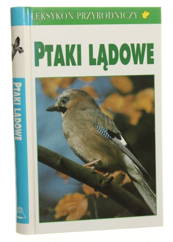 ptaki lądowe (1).JPG