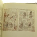 leonardo da vinci (8).jpg