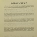 leonardo da vinci (4).jpg
