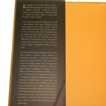 leonardo da vinci (2).jpg