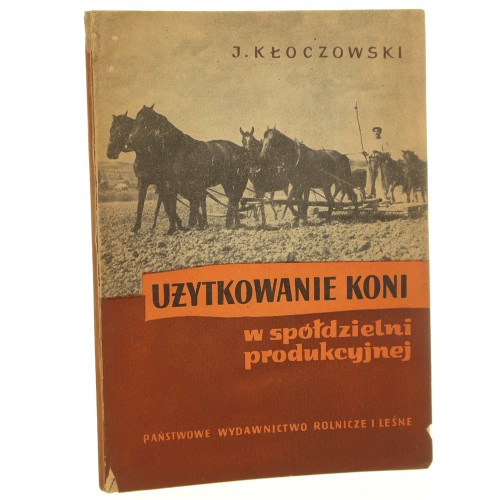 użytkowanie koni (1).jpg