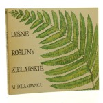 leśne rośliny (1).jpg