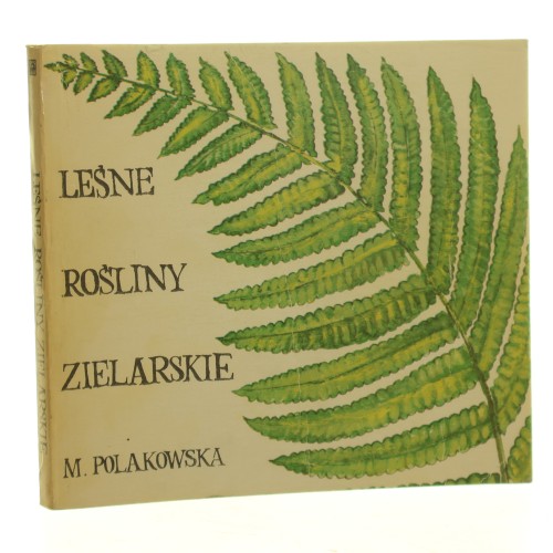 leśne rośliny (1).jpg