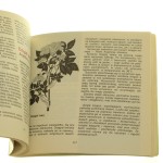 leśne rośliny (3).jpg