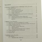 kryzysy walutowe (2).JPG