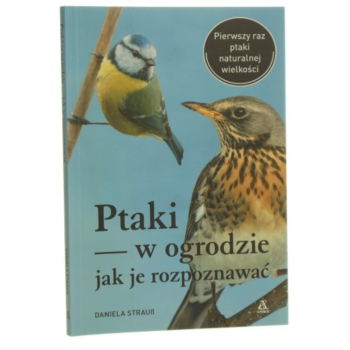 ptaki w ogrodzie (1).JPG