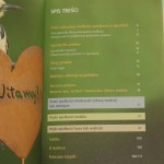 ptaki w ogrodzie (4).JPG