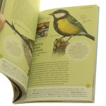 ptaki w ogrodzie (5).JPG