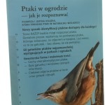 ptaki w ogrodzie (6).JPG