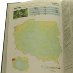 atlas pospolitych ptaków (6).JPG