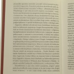 żagary (4).JPG