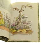 suche bukiety (6).JPG