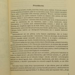księga nonsensu (3).JPG