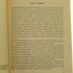 rzut (3).jpg