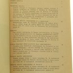 rzut (5).jpg