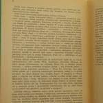 słownik (3).jpg