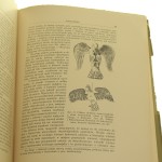 podłaźniki (5).JPG