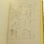 Museo Borbonico (19).JPG