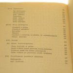 historia (5).jpg
