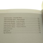 koleją do kudowy (4).jpg