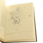 historia oka (3).JPG