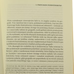 ebsambul (3).JPG
