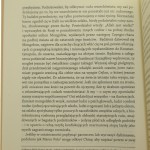 ebsambul (4).JPG
