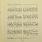 IMG_7766.JPG