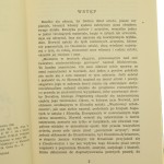 myśli o sztuce Sympozjon (2).JPG