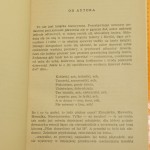 rendez (3).JPG