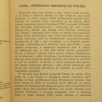 niedole (2).JPG