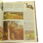 the beautiful (3).JPG