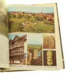 the beautiful (4).JPG