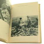 polskie wybrzeże (4).JPG