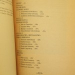 maria kazimiera (3).JPG