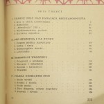 za króla sasa (4).JPG
