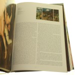 Heronimus Bosch (3).JPG