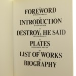 in your face (2).JPG